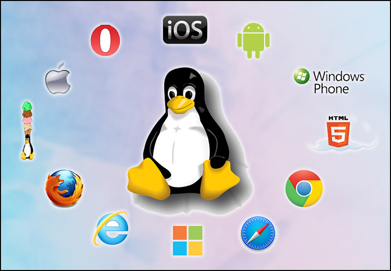 Linux là gì? Tìm hiểu hệ điều hành mã nguồn mở phổ biến nhất thế giới